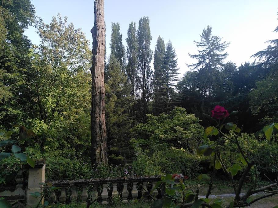 Villa Magnifiques Ecuries Juste Renovees - Domaine De La Mulotiere Langeais Exterior foto